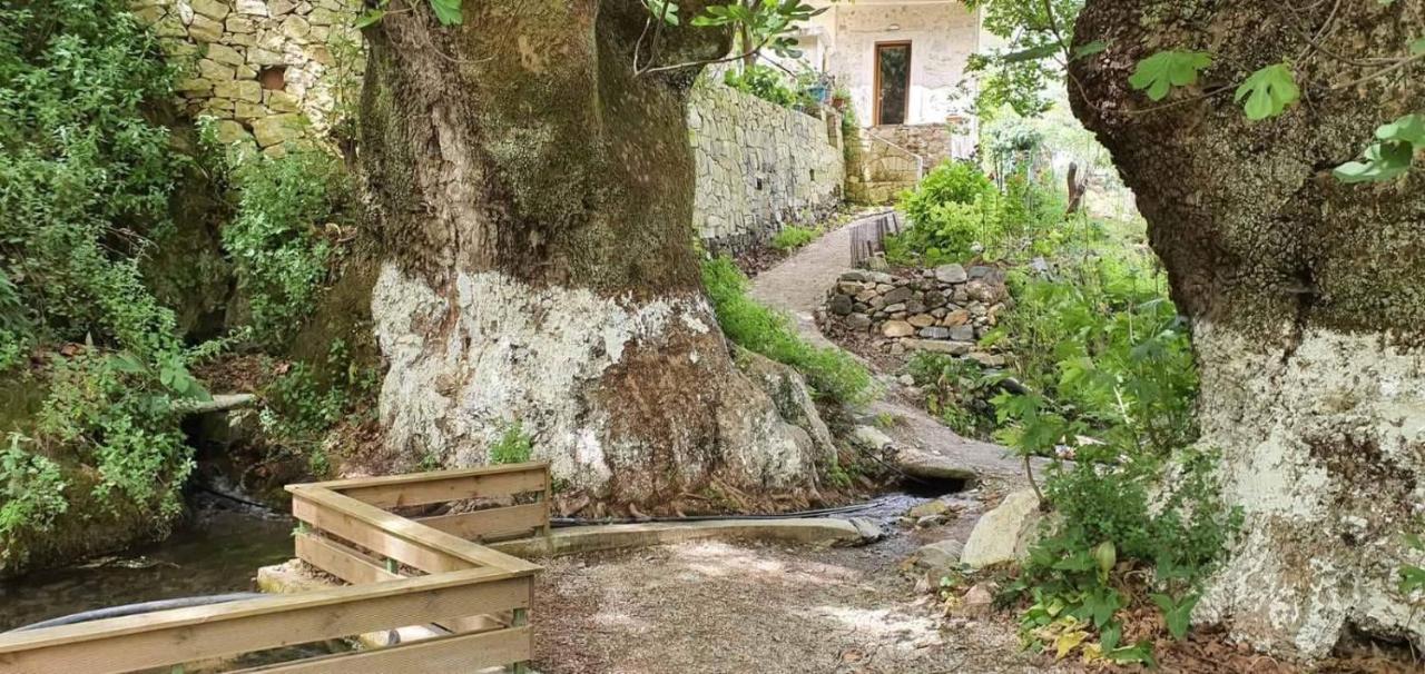 Вилла Platanus House Meskla Экстерьер фото